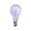 Chromalux 75W Full Spectrum Bulb - Clear [A21CL/75]