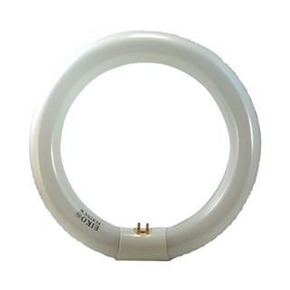 22W T9 Circle Fluorescent - Cool White [FC8T9/CW]