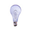 Chromalux 100W Full Spectrum Bulb - Clear [A21CL/100]