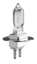 Zeiss 10 SL Slit Lamp Bulb [3801-20-7030]